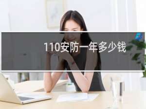 110安防一年多少钱