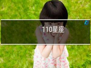 110星座