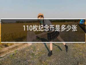 110枚纪念币是多少张