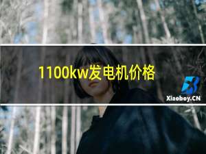 1100kw发电机价格