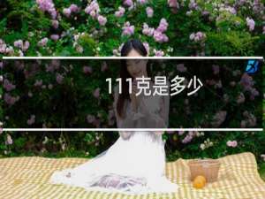 111克是多少