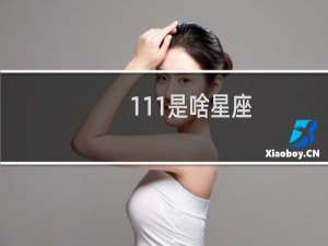 111是啥星座