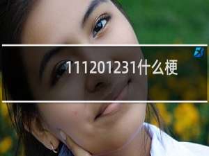 111 1231什么梗