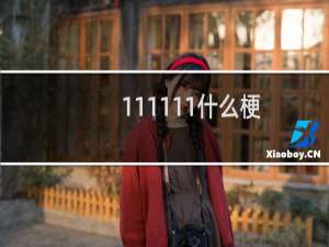 111111什么梗