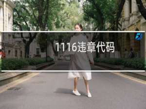 1116违章代码（4711违章代码）