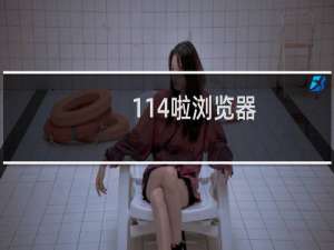 【114啦浏览器】免费114啦浏览器软件下载
