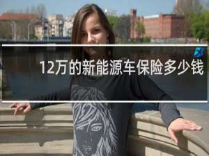 12万的新能源车保险多少钱