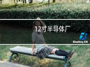 12寸半导体厂