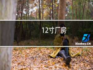 12寸厂房