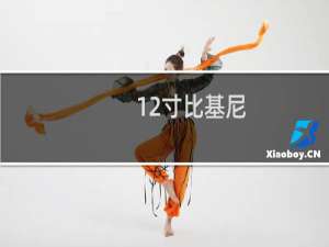 12寸比基尼