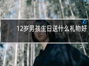 12岁男孩生日送什么礼物好