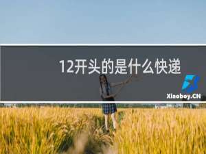 12开头的是什么快递