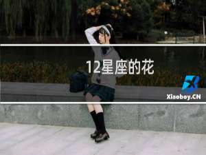 12星座的花