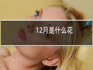 12月是什么花