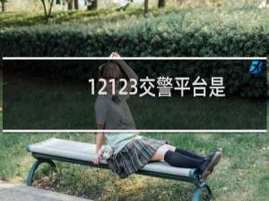 12123交警平台是什么（12123网站是什么）