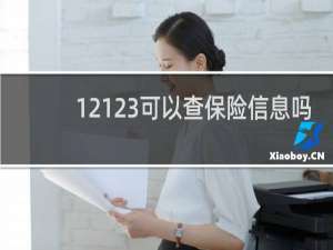 12123可以查保险信息吗