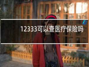 12333可以查医疗保险吗