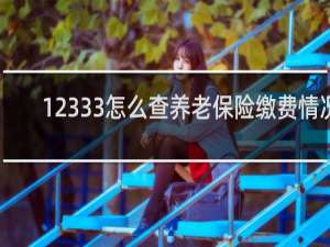 12333怎么查养老保险缴费情况