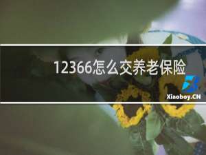 12366怎么交养老保险