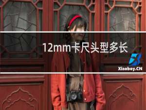 12mm卡尺头型多长