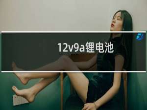 12v9a锂电池