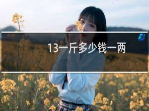 13一斤多少钱一两
