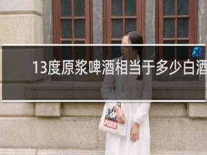 13度原浆啤酒相当于多少白酒