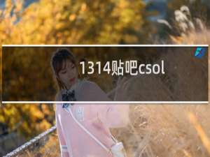 1314贴吧csol