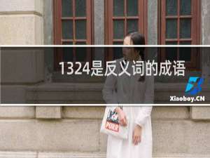 1324是反义词的成语