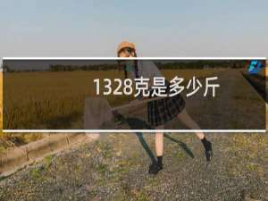 1328克是多少斤