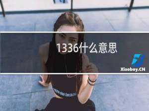 1336什么意思（1337到底是什么意思）