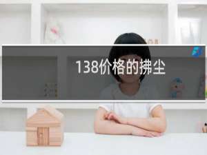 138价格的拂尘