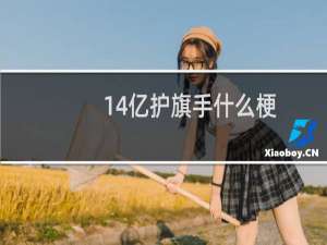 14亿护旗手什么梗