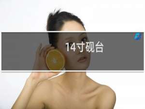 14寸砚台