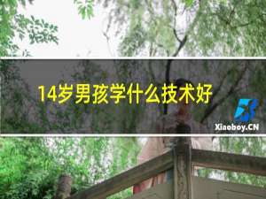 14岁男孩学什么技术好