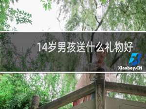 14岁男孩送什么礼物好