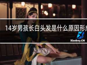 14岁男孩长白头发是什么原因形成的