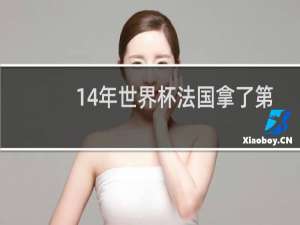 14年世界杯法国拿了第几