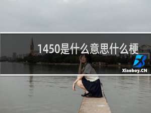 1450是什么意思什么梗