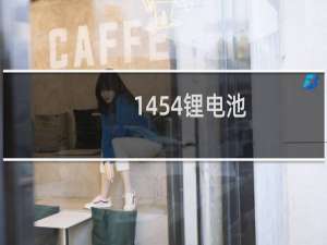 1454锂电池