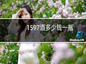 1597酒多少钱一瓶