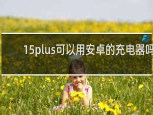 15plus可以用安卓的充电器吗