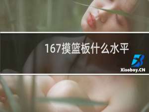 167摸篮板什么水平