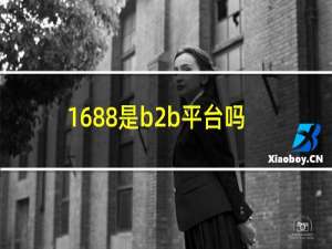 1688是b2b平台吗