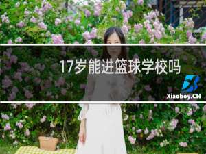 17岁能进篮球学校吗