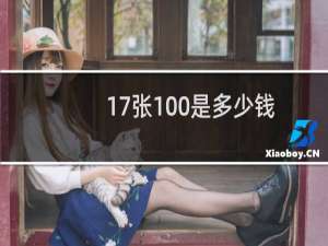 17张100是多少钱