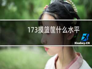 173摸篮筐什么水平