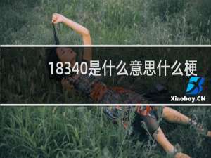 18340是什么意思什么梗