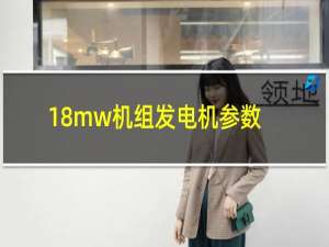 18mw机组发电机参数