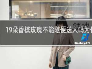 19朵香槟玫瑰不能随便送人吗为什么
